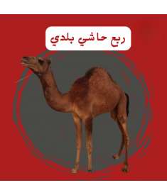 ربع حاشي بلدي